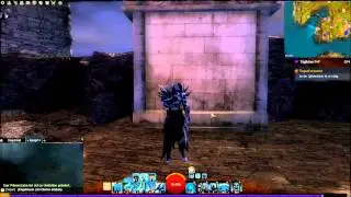 Guild Wars 2 Abo Special Greiti01 (250 Abos)