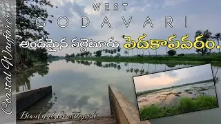 Beautiful Countryside 'Pedakapavaram' West Godavari, AP | Coastal Wayfarer | #travel