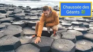 Chaussée des Géants - Été 2022 - Irlande 🍀