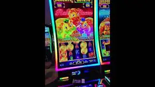 Bonus Buys = Positive Vibes. #slot #casino #funny #fun #positivevibes #bonus #winner #metaglasses