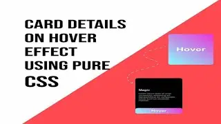 CSS Responsive Card Hover Effects | Html & CSS | Coding With Fun