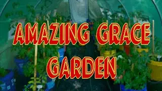 AMAZING GRACE GARDEN | What Is The Best Soil Option For A Container Garden?
