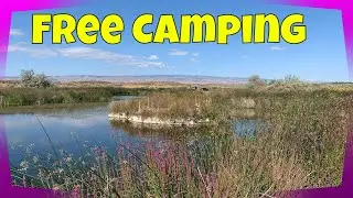 Free Camping at Burke Lake West with Discover Pass