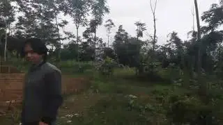 Short film / fight scan