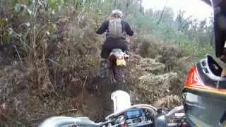 Dissa Dirtriderz.com