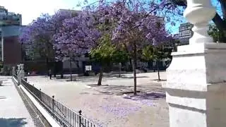 Segway tour of Malaga(12)
