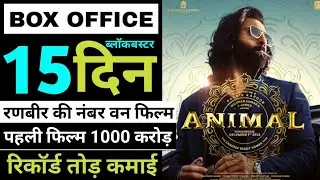 Animal Box Office Collection | Animal 15th Day Box Office Collection | Animal Collection, #animal