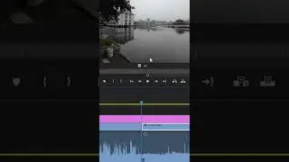 No Audio Waveform in Premiere Pro? Fix it FAST! #shorts