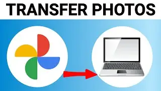 How to Transfer Google Photos to Computer/PC&nbsp;(2025)