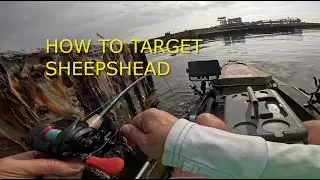 Sheepshead Catching Lessons! Use this 3 tips to catch monster slabs&nbsp;#fishing&nbsp;#Flounder #sheepshead