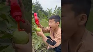 Ăn tr&aacute;i c&acirc;y như thế n&agrave;y v&agrave; cậu b&eacute; tốt.Ăn quả ổi như thế n&agrave;y v&agrave; anh trai tốt bụng#shotrs #2912#🤤🍏😯😁😆😜