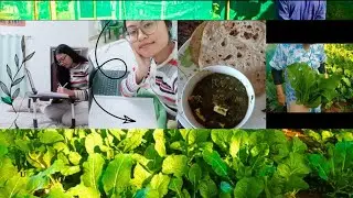 A productive day in my life ❤️ #studvlog #productiveday #cookingvlog #palakpaneer #lifestyle