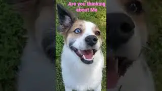 I am ADORABLE 🥰