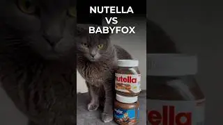 Сравниваем Nutella и Baby Fox #Nutella #BabyFox #обзорсладостей