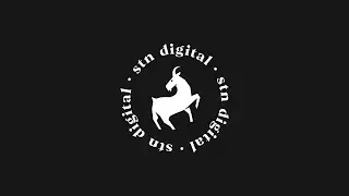 STN Digital | #1 Social-First Marketing In Sports + Entertainment