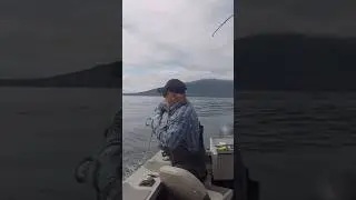 Halibut gets the shark hook!