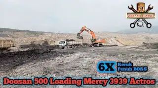 Doosan 500 Loading mercy 3939 Actros // Area tambang batubara