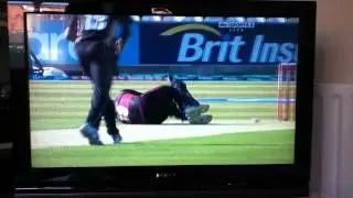Phil Mustard gets a cricket ball to the plums