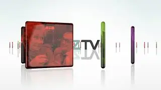 TVNZ rebrand (2008-2013)