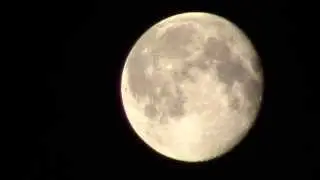 The 