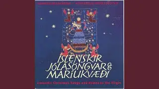 H&aacute;t&iacute;&eth; fer a&eth; h&ouml;ndum ein