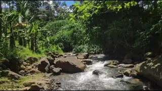 Deep Rushing River Water Sound Effect for Jungle Sleep & Meditative Breathing in Tropical Rainforest