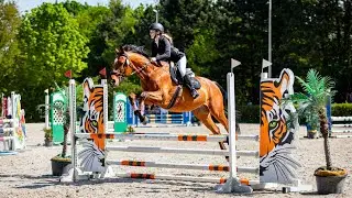WLKS KRAKUS SWOSZOWICE 2025 || 2 DZIEŃ NA ZAWODACH (80CM NA CZYSTO) i&hellip;  6 miejsce!