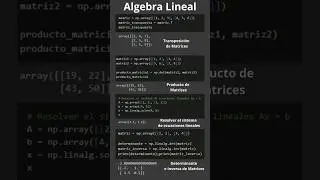 Algebra lineal con Python 👨‍🏫 base para ciencia de datos🧑‍💻 #python#algebralineal