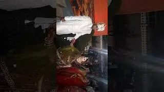 #shadiprogram  #shadishort
