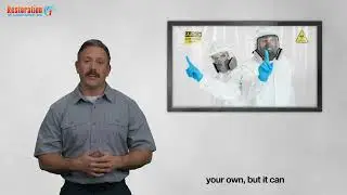 Worried About Mold? Vancouver&rsquo;s Trusted Mold Remediation Pros Are Just a Call Away