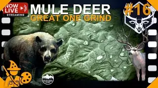 #16 Mule Deer Great One Grind on Silver Ridge Peaks | theHunter cotw