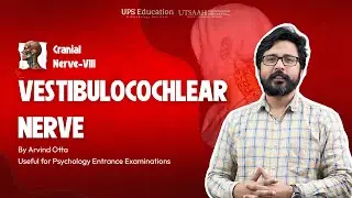 Cranial Nerve -8 | Vestibulocochlear Cranial Nerve | Bio Psychology with Arvind Otta