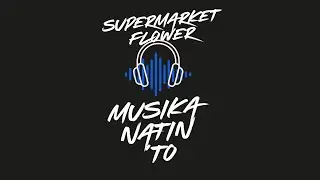 SUPERMARKET FLOWERS Ed Sheeran - Hardmetal COVER