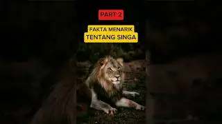 (PART 2) FAKTA MENARIK TENTANG SINGA #fakta #faktamenarik #faktahewan