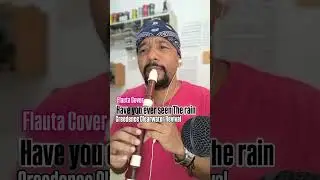 Have You Ever Seen the Rain - Recorder Cover