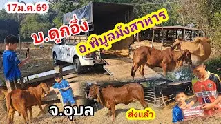 ส่ง บ.ดูกอึ่ง ต.หนองบัวฮี อ.พิบูลมังสาหาร จ.อุบล/17ม.ค.69