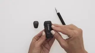 Pair the Cochlear&trade; Baha&reg; 6 Max or Baha 7 Sound Processor to your Cochlear Wireless Device
