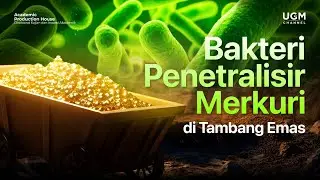 Bakteri Penetralisir Merkuri di Tambang Emas