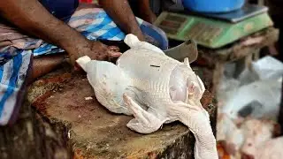Amazing Chicken Cutting in Chicken Market with Butcher BD Fish /Cutting Skills - How to Cut Chicken