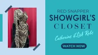 Showgirl's Closet: Another Catherine D'Lish Robe!