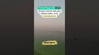 The Rat Is Homesick&hellip; So Pest Control Wants to Bring It Back 😂🤣 | Prank Phone Call