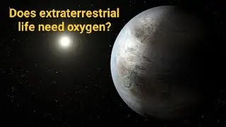 Survival in Space🌌: ScientistsExplore Life Forms That Don&rsquo;t Need Oxygen