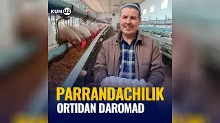 Xonadonda zotli tovuq boqish sirlari