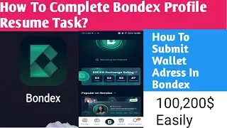 How to complete Bondex profile resume task|How to submit wallet adress in Bondex