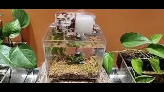 Aquarium Desktop Fish Tank Silent Filter Mini Ecological Fish Tank Plastic Office Free Replacement