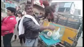 Bahora bagh murga Bakra Mandi jabalpur m p A H antique jabalpur