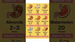 FOOD DIGESTION TIME #shortsfeed #shorts #viral #youtubeshorts