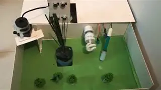IoT based water and environment management system of paddy rice at their different growth stages