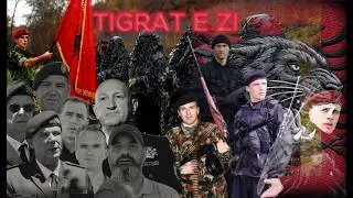MAT - BRIGADA 111 “ADEM JASHARI” – TIGRAT E ZI