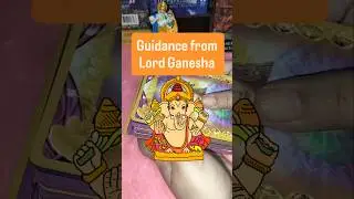 #viral Guidance From Lord Ganesha😇 #lordganesha #guidance #viralvideo #shorts #ytfeed #divinetalk333